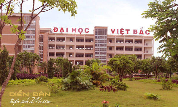 Thông Tin Tuyển Sinh Đại Học Việt Bắc 2023