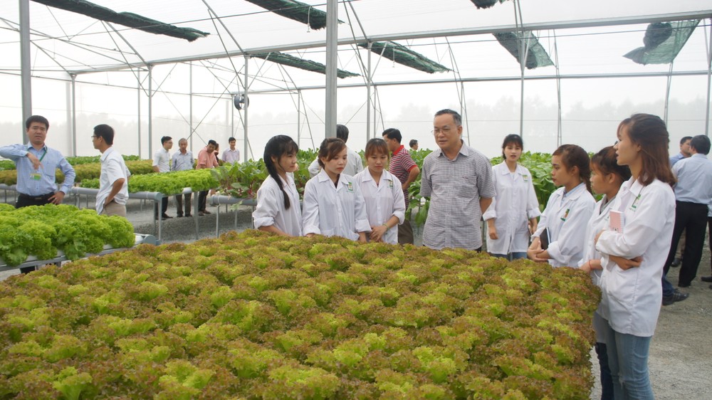 Chương Tr&igrave;nh Đ&agrave;o Tạo Trường Đại học N&ocirc;ng L&acirc;m
