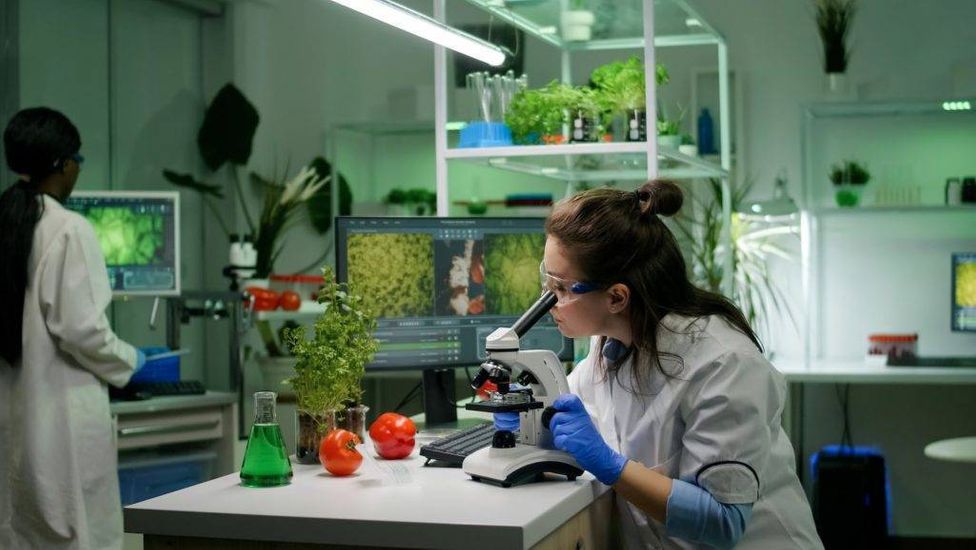 Cơ Sở Vật Chất v&agrave; Trang Thiết Bị Trường Đại học N&ocirc;ng L&acirc;m