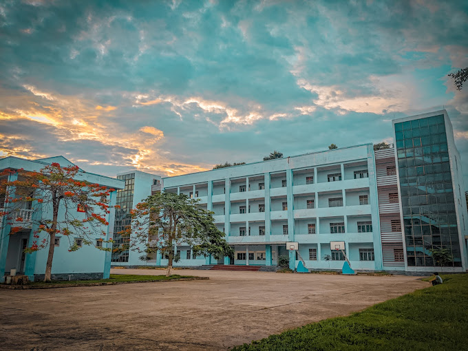 Lịch sử h&igrave;nh th&agrave;nh v&agrave; ph&aacute;t triển