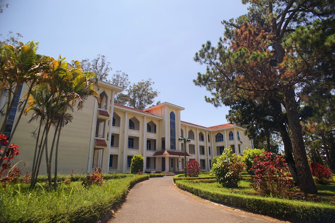 Lịch Sử H&igrave;nh Th&agrave;nh V&agrave; Ph&aacute;t Triển