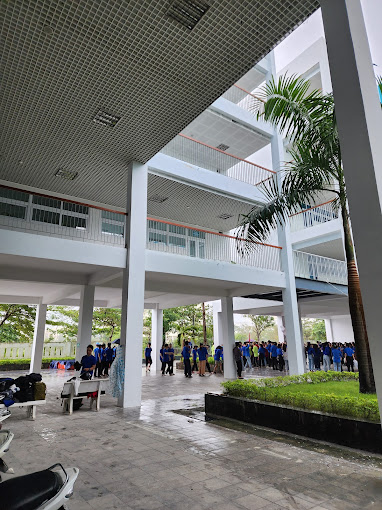 Lịch sử h&igrave;nh th&agrave;nh v&agrave; ph&aacute;t triển