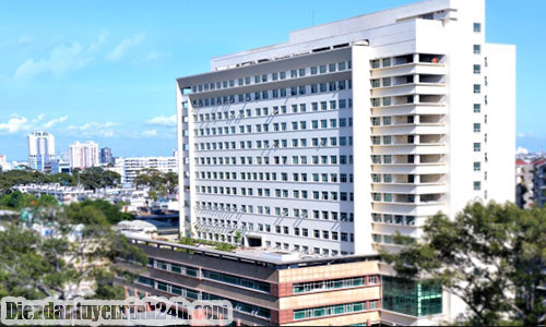 Đại học y dược
